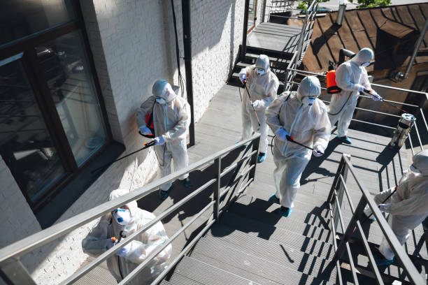 Best Asbestos and Lead Testing During Mold Inspection  in Garden City, NY