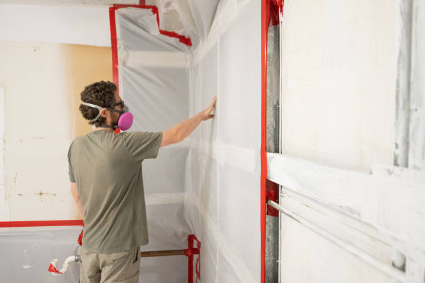 Best Mold Removal for HVAC Installations  in Garden City, NY