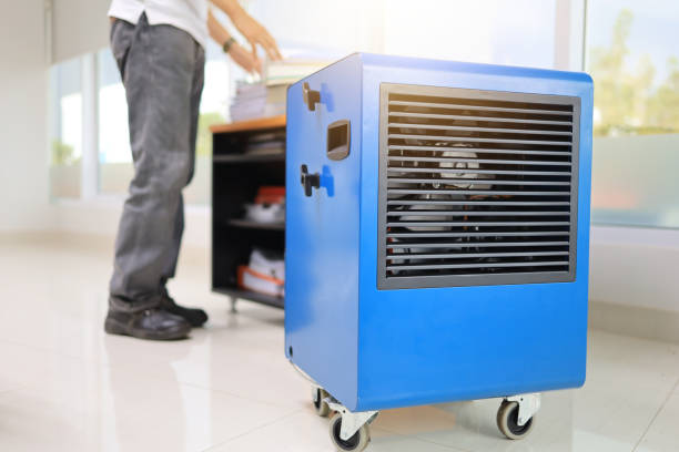 Best Residential Mold Inspection & Testing  in Garden City, NY